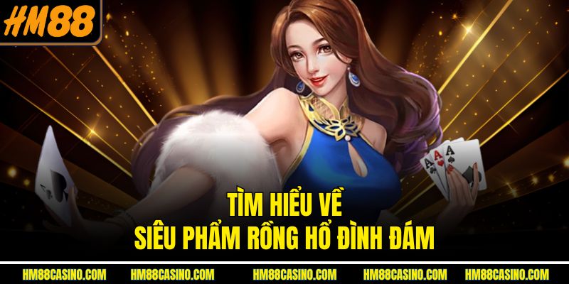 Tìm hiểu về siêu phẩm Rồng Hổ đình đám Tìm hiểu về siêu phẩm Rồng Hổ đình đám